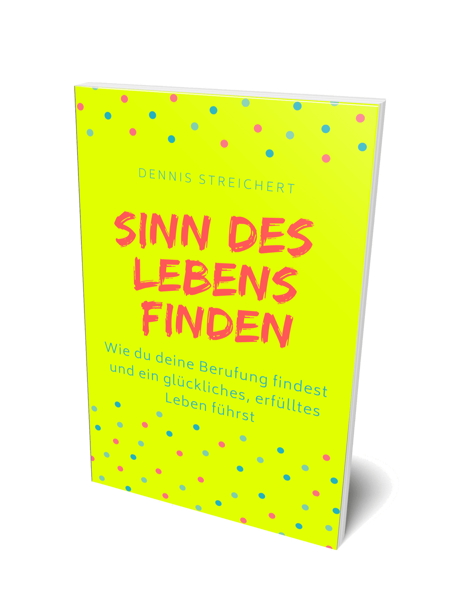 Sinn des Lebens finden Buch jetzt kaufen