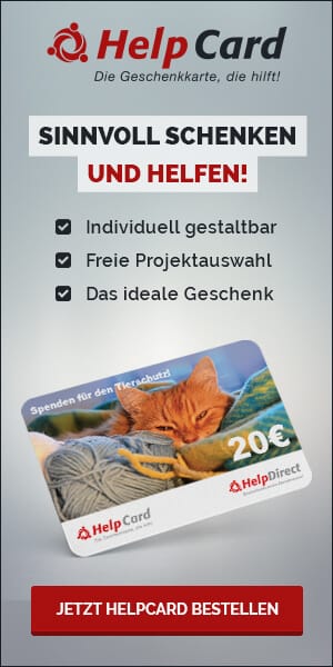 Was soll ich schenken? 27 geniale Geschenk-Ideen